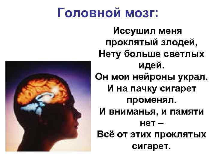 Головной мозг: Иссушил меня проклятый злодей, Нету больше светлых идей. Он мои нейроны украл.