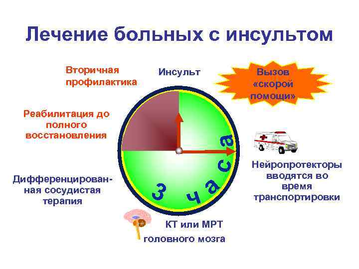 Лечение больных с инсультом Вторичная профилактика с а Реабилитация до полного восстановления Дифференцированная сосудистая