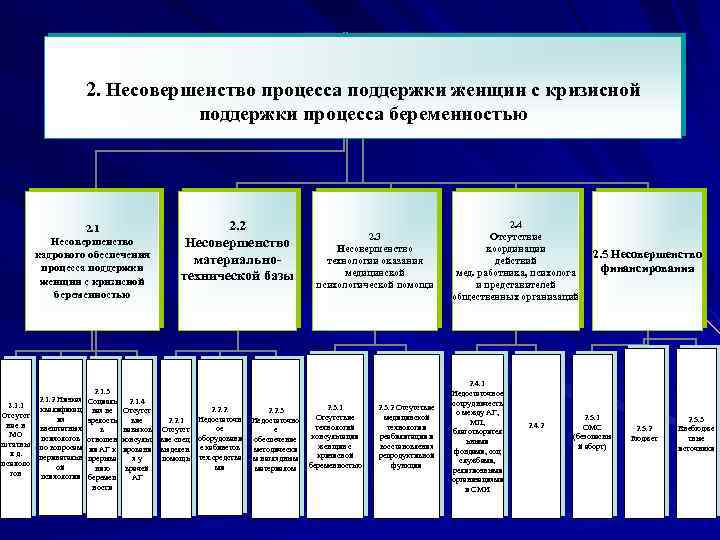 2. Несовершенство процесса поддержки женщин с кризисной поддержки процесса беременностью 2. 1 Несовершенство кадрового