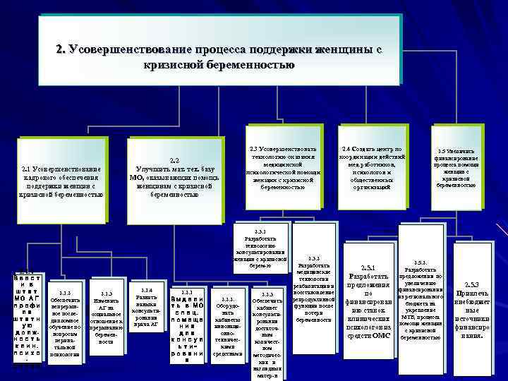 2. Усовершенствование процесса поддержки женщины с кризисной беременностью 2. 1 Усовершенствование кадрового обеспечения поддержки