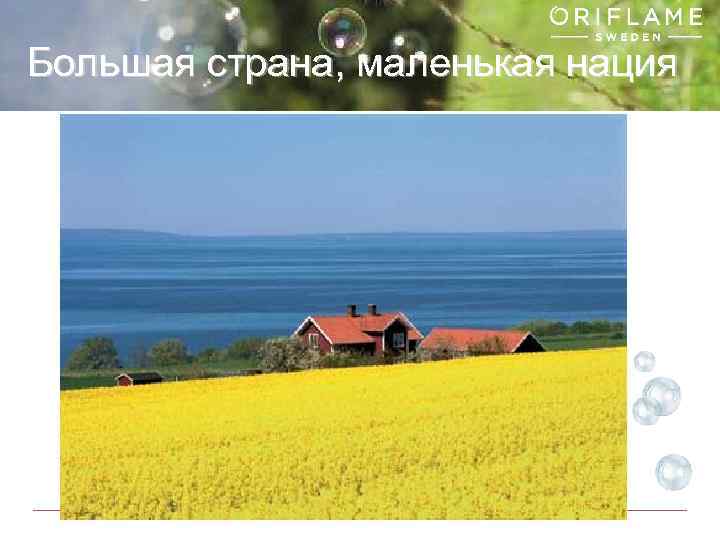 Большая страна, маленькая нация Copyright © 2013 by Oriflame Cosmetics SA 