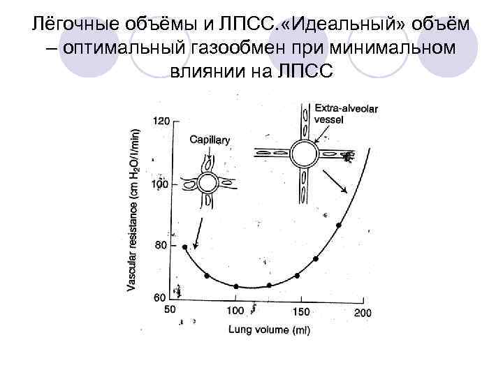 Лёгочные объёмы и ЛПСС. «Идеальный» объём – оптимальный газообмен при минимальном влиянии на ЛПСС