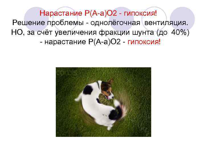 Нарастание Р(А-а)О 2 - гипоксия!  Решение проблемы - однолёгочная вентиляция. НО, за счёт увеличения фракции