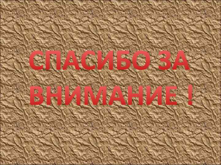 СПАСИБО ЗА ВНИМАНИЕ ! 