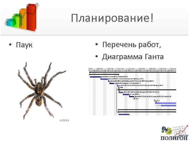 Планирование! • Паук • Перечень работ, • Диаграмма Ганта 