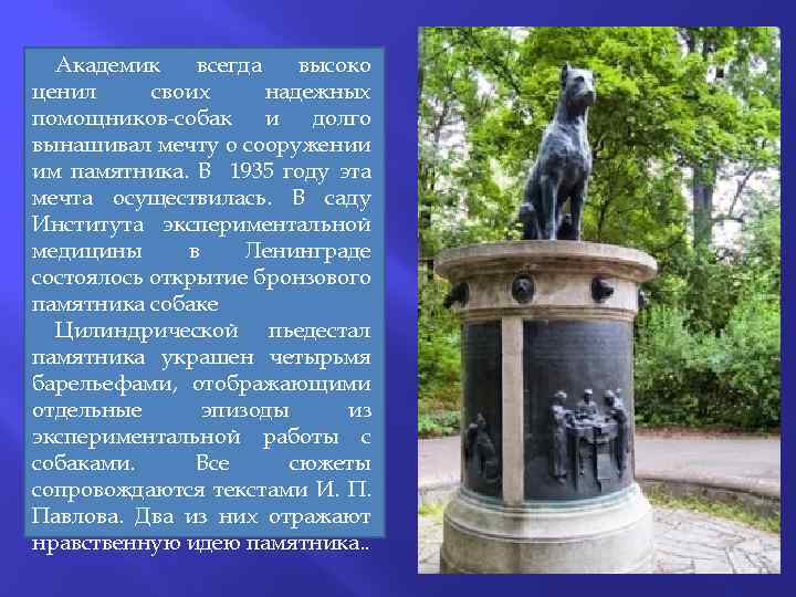 Академик всегда высоко ценил своих надежных помощников-собак и долго вынашивал мечту о сооружении им