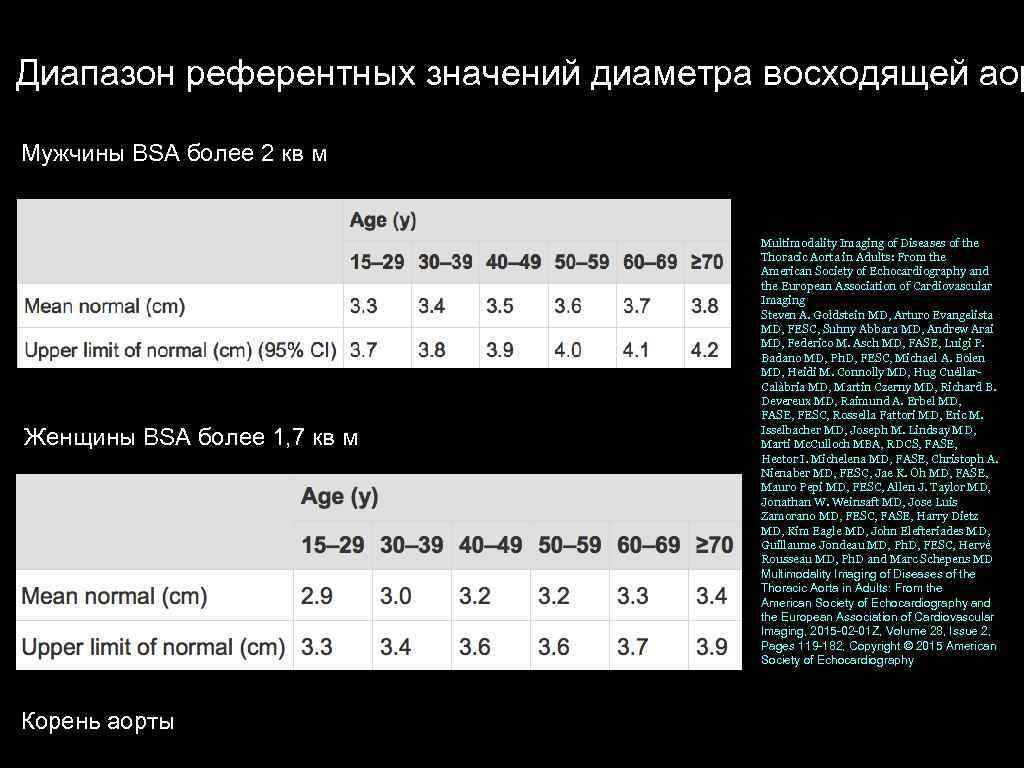 Диапазон референтных значений диаметра восходящей аор Мужчины BSA более 2 кв м Женщины BSA