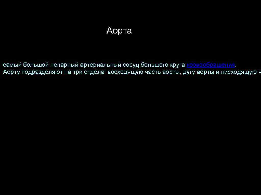 Аорта самый большой непарный артериальный сосуд большого круга кровообращения. Аорту подразделяют на три отдела: