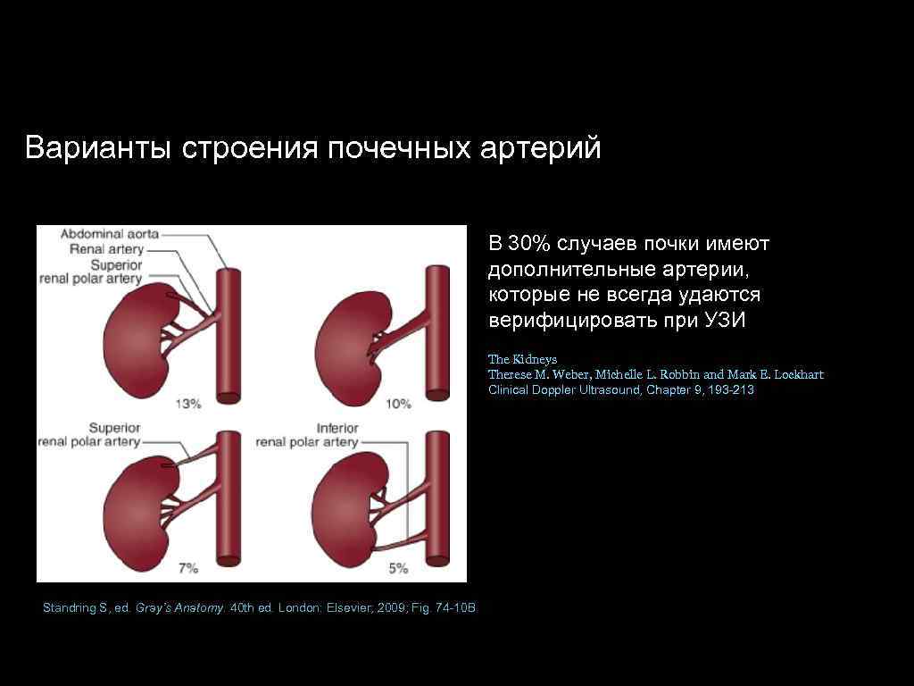 Почечная артерия. Аббеоантная почечная артерич. Добавочная нижнеполярная почечная артерия. Аберрантная почечная артерия кт. Абберантные почечные сосуды.