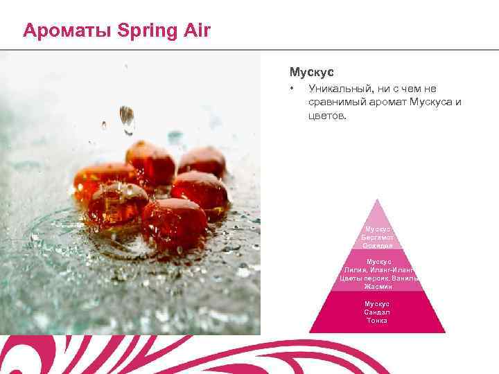 Ароматы Spring Air Мускус • Уникальный, ни с чем не сравнимый аромат Мускуса и
