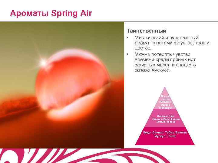 Ароматы Spring Air Таинственный • • Мистический и чувственный аромат с нотами фруктов, трав