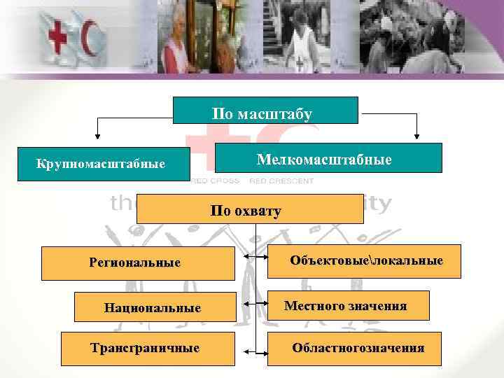 По масштабу Крупномасштабные Мелкомасштабные По охвату Региональные Национальные Трансграничные Объектовыелокальные Местного значения Областногозначения 