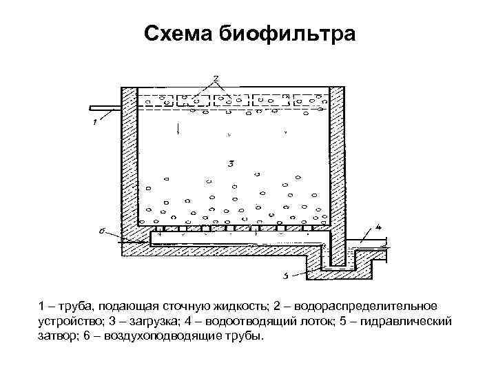 Схема биофильтра 1 – труба, подающая сточную жидкость; 2 – водораспределительное устройство; 3 –