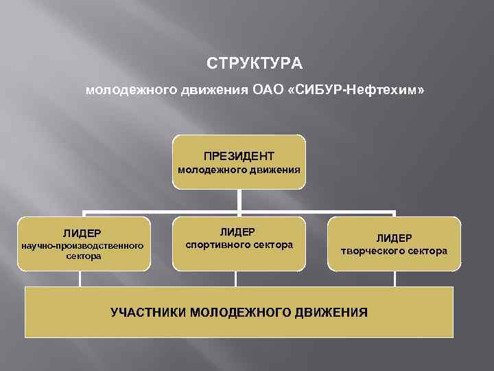 Организационная структура сибур холдинг схема