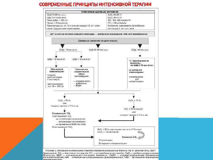 СОВРЕМЕННЫЕ ПРИНЦИПЫ ИНТЕНСИВНОЙ ТЕРАПИИ 