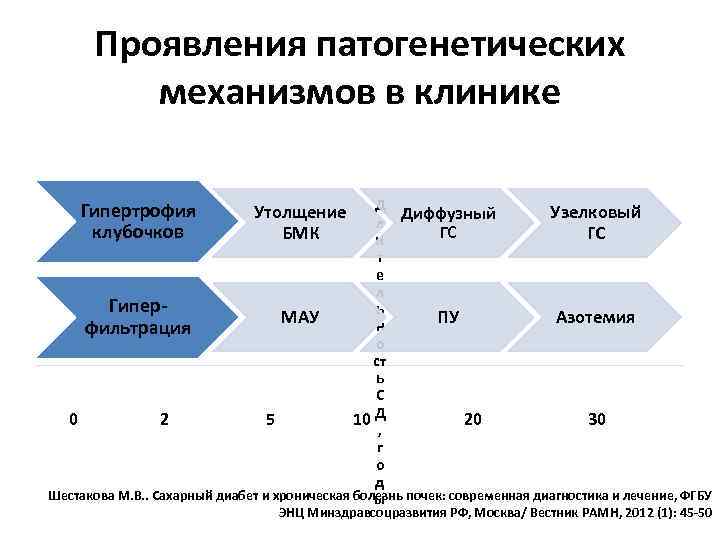Проявления патогенетических механизмов в клинике Д Узелковый Диффузный л ГС ГС и т е