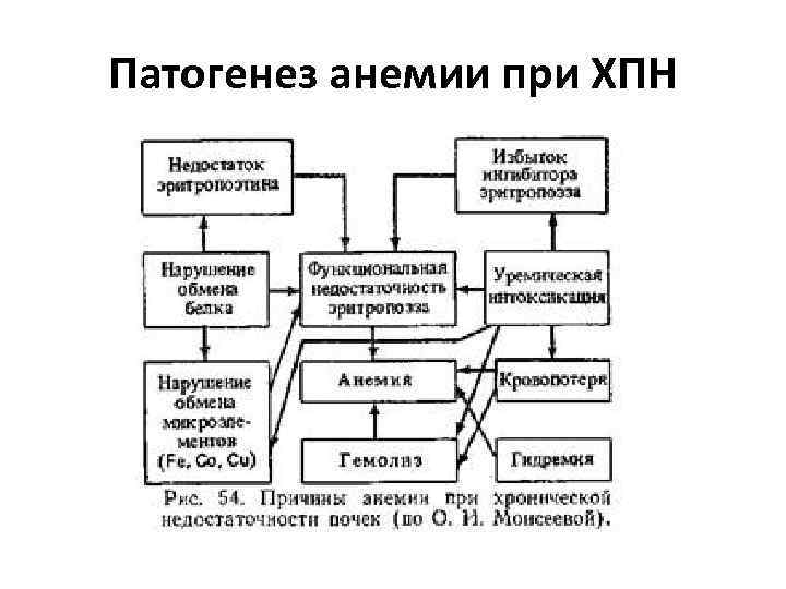 Патогенез хбп схема