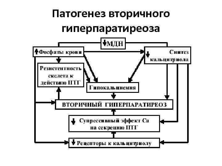 Схема механизмов развития первичной и вторичной гиперальгезии