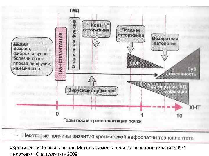  «Хроническая болезнь почек. Методы заместительной почечной терапии» В. С. Пилотович, О. В. Калачик-