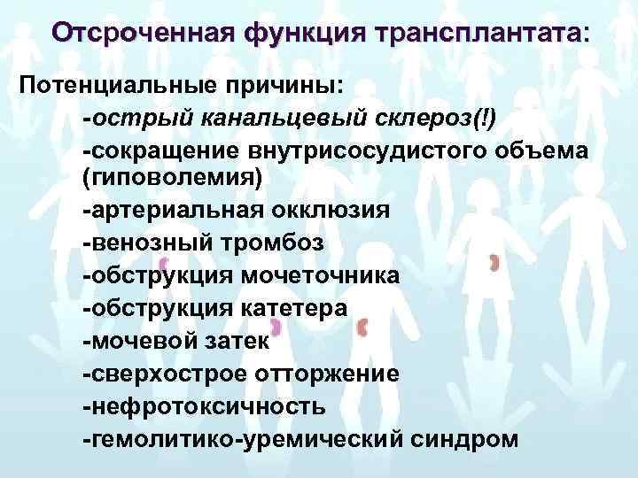 Отсроченная функция трансплантата: Потенциальные причины: -острый канальцевый склероз(!) -сокращение внутрисосудистого объема (гиповолемия) -артериальная окклюзия