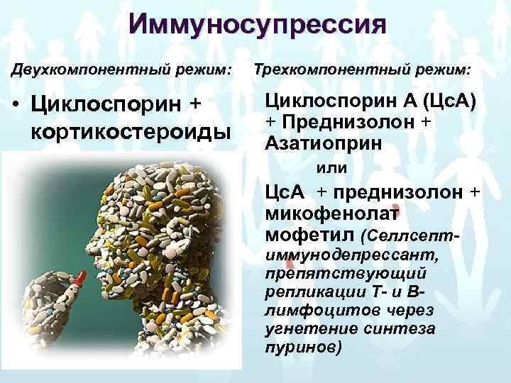 Иммуносупрессия Двухкомпонентный режим: Трехкомпонентный режим: • Циклоспорин + кортикостероиды Циклоспорин А (Цс. А) +