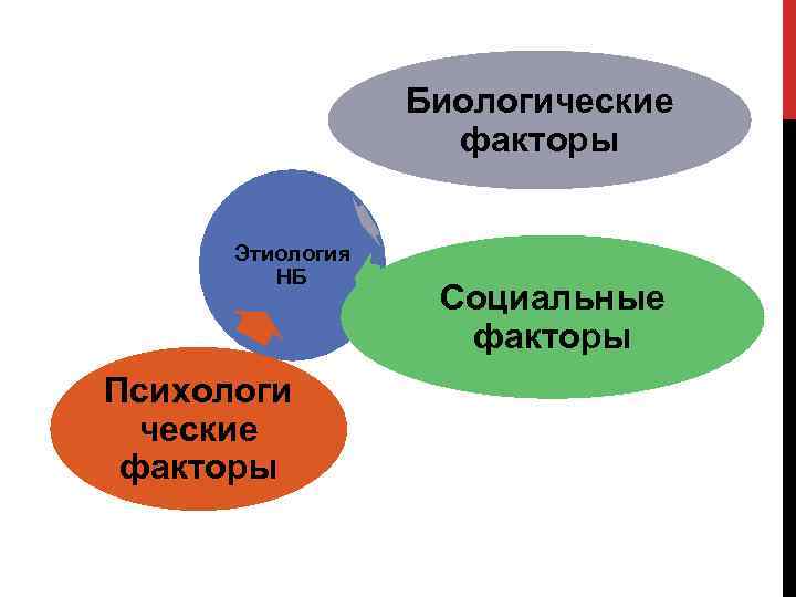 Биологические факторы развития