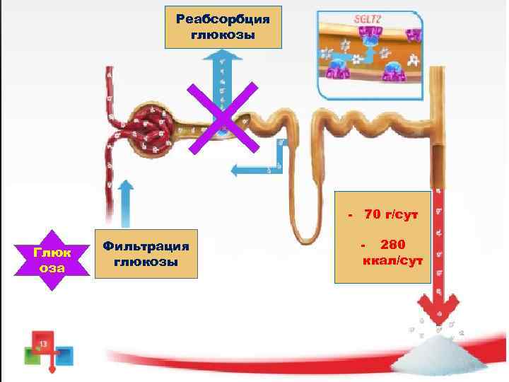 Реабсорбция глюкозы - 70 г/сут Глюк оза Фильтрация глюкозы - 280 ккал/сут 