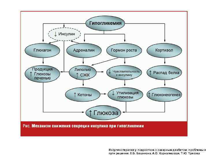  Инсулинотерапия у подростков с сахарным диабетом: проблемы и пути решения. Е. Б. Башниана,