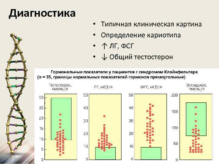 Диагностика • • Типичная клиническая картина Определение кариотипа ↑ ЛГ, ФСГ ↓ Общий тестостерон