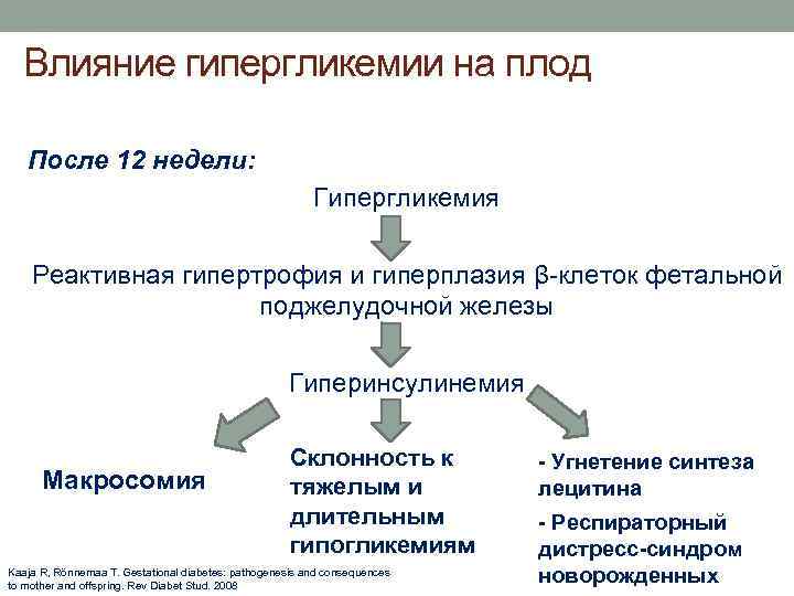 Влияние гипергликемии на плод После 12 недели: Гипергликемия Реактивная гипертрофия и гиперплазия β-клеток фетальной