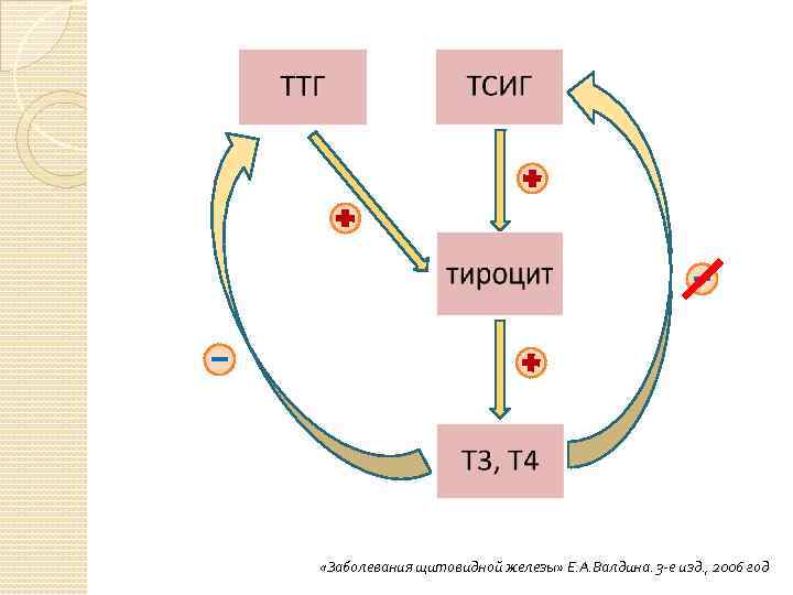  «Заболевания щитовидной железы» Е. А. Валдина. 3 -е изд. , 2006 год 