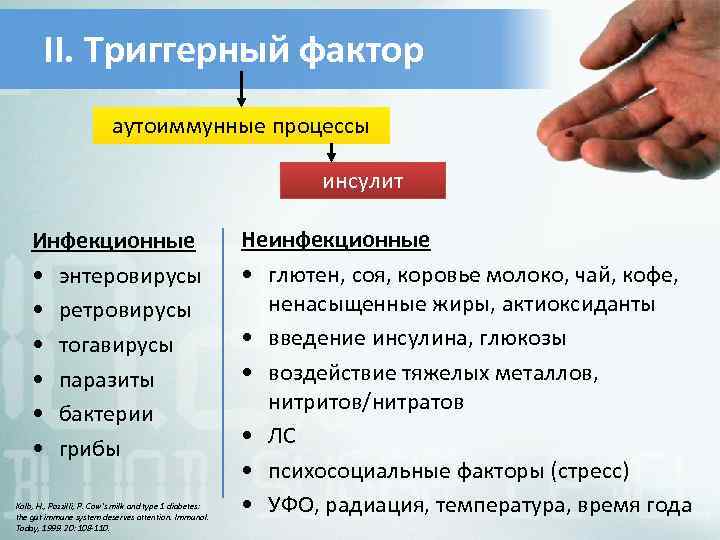 II. Триггерный фактор аутоиммунные процессы инсулит Инфекционные • энтеровирусы • ретровирусы • тогавирусы •