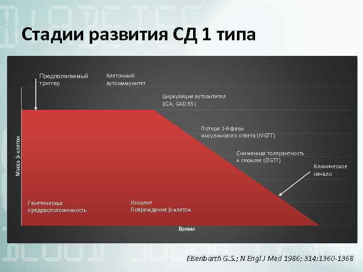 Стадии развития СД 1 типа Предполагаемый триггер Клеточный аутоиммунитет Циркуляция аутоантител (ICA; GAD 65)