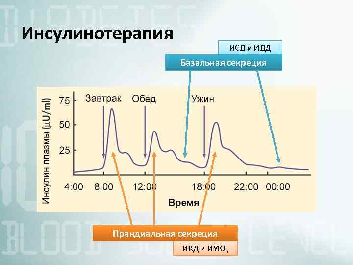 Инсулинотерапия ИСД и ИДД Базальная секреция Прандиальная секреция ИКД и ИУКД 