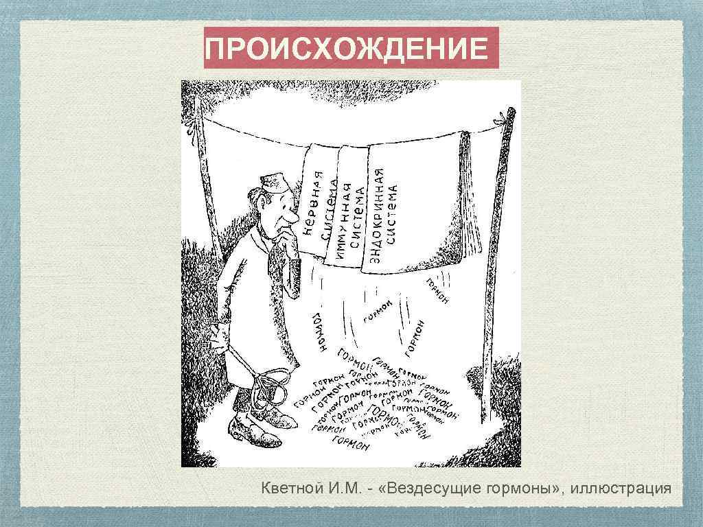 ПРОИСХОЖДЕНИЕ Кветной И. М. - «Вездесущие гормоны» , иллюстрация 