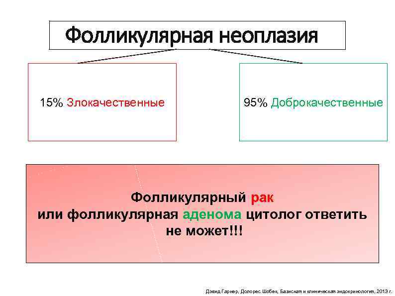 Цитологическая картина фолликулярной опухоли щитовидной железы bethesda 4 что значит у женщин