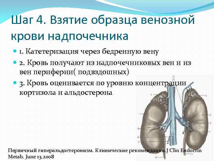 Шаг 4. Взятие образца венозной крови надпочечника 1. Катетеризация через бедренную вену 2. Кровь
