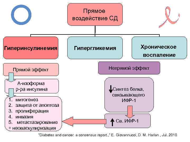 Прямое воздействие СД Гиперинсулинемия Прямой эффект А-изоформа р-ра инсулина 1. митогенез 2. защита от