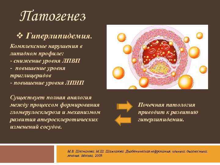 Патогенез v Гиперлипидемия. Комплексные нарушения в липидном профиле: - снижение уровня ЛПВП - повышение