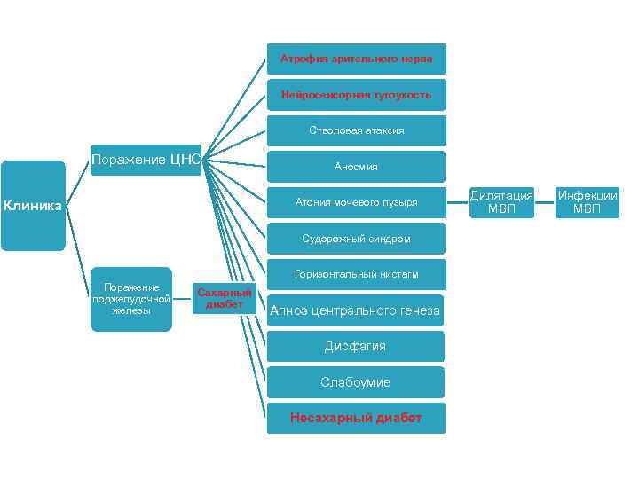 Атрофия зрительного нерва Нейросенсорная тугоухость Стволовая атаксия Поражение ЦНС Аносмия Атония мочевого пузыря Клиника