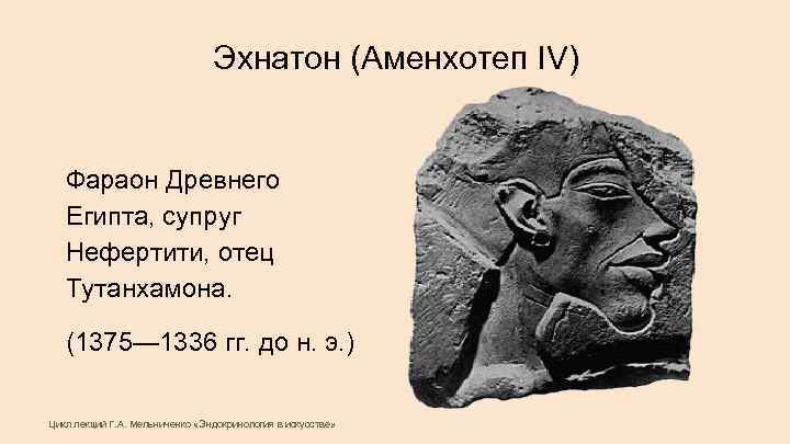 Эхнатон (Аменхотеп IV) Фараон Древнего Египта, супруг Нефертити, отец Тутанхамона. (1375— 1336 гг. до