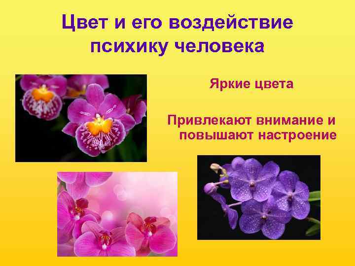 Цвет и его воздействие психику человека Яркие цвета Привлекают внимание и повышают настроение 