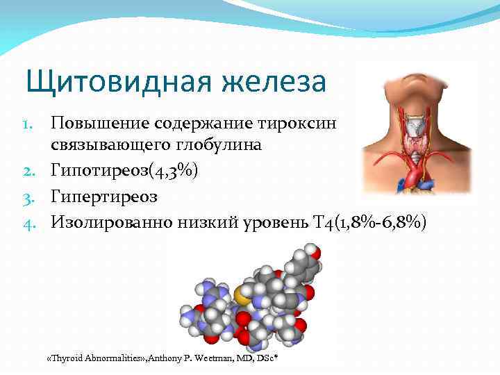 Щитовидная железа Повышение содержание тироксин связывающего глобулина 2. Гипотиреоз(4, 3%) 3. Гипертиреоз 4. Изолированно