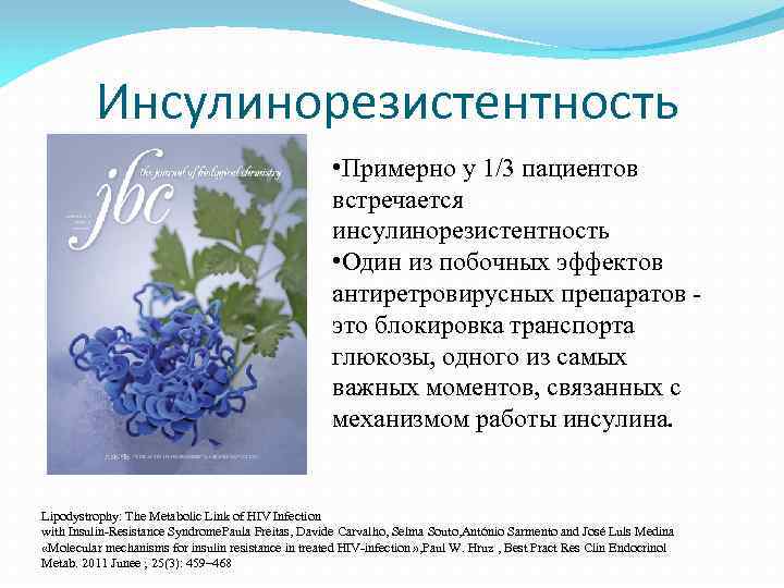 Инсулинорезистентность • Примерно у 1/3 пациентов встречается инсулинорезистентность • Один из побочных эффектов антиретровирусных