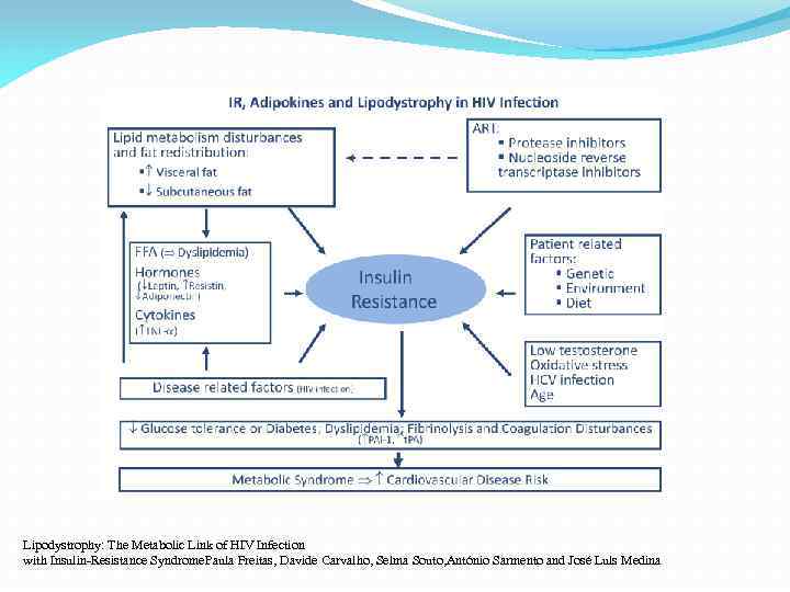 Lipodystrophy: The Metabolic Link of HIV Infection with Insulin-Resistance Syndrome. Paula Freitas, Davide Carvalho,