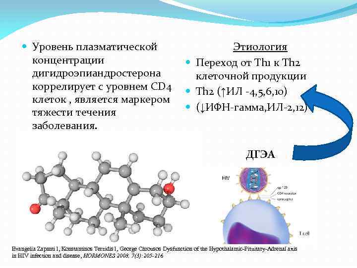  Уровень плазматической концентрации дигидроэпиандростерона коррелирует с уровнем CD 4 клеток , является маркером