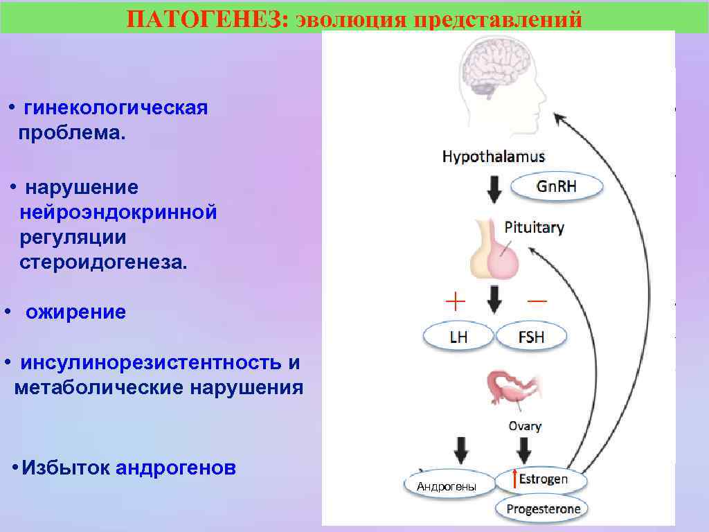 ПАТОГЕНЕЗ: эволюция представлений • гинекологическая проблема. • нарушение нейроэндокринной регуляции стероидогенеза. • ожирение •