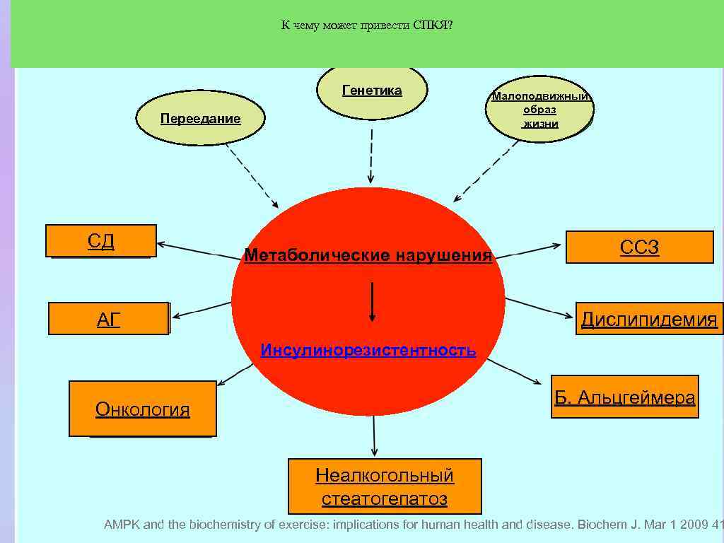 К чему может привести СПКЯ? Генетика Переедание СД Малоподвижный образ жизни Метаболические нарушения CCЗ