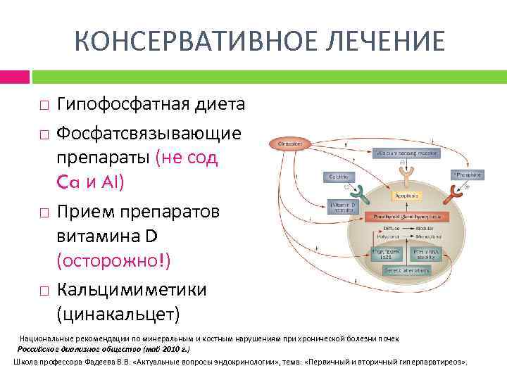 КОНСЕРВАТИВНОЕ ЛЕЧЕНИЕ Гипофосфатная диета Фосфатсвязывающие препараты (не сод Ca и Al) Прием препаратов витамина