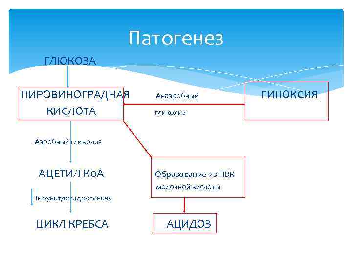 Патогенез ГЛЮКОЗА ПИРОВИНОГРАДНАЯ КИСЛОТА Анаэробный гликолиз АЦЕТИЛ Ко. А Образование из ПВК молочной кислоты